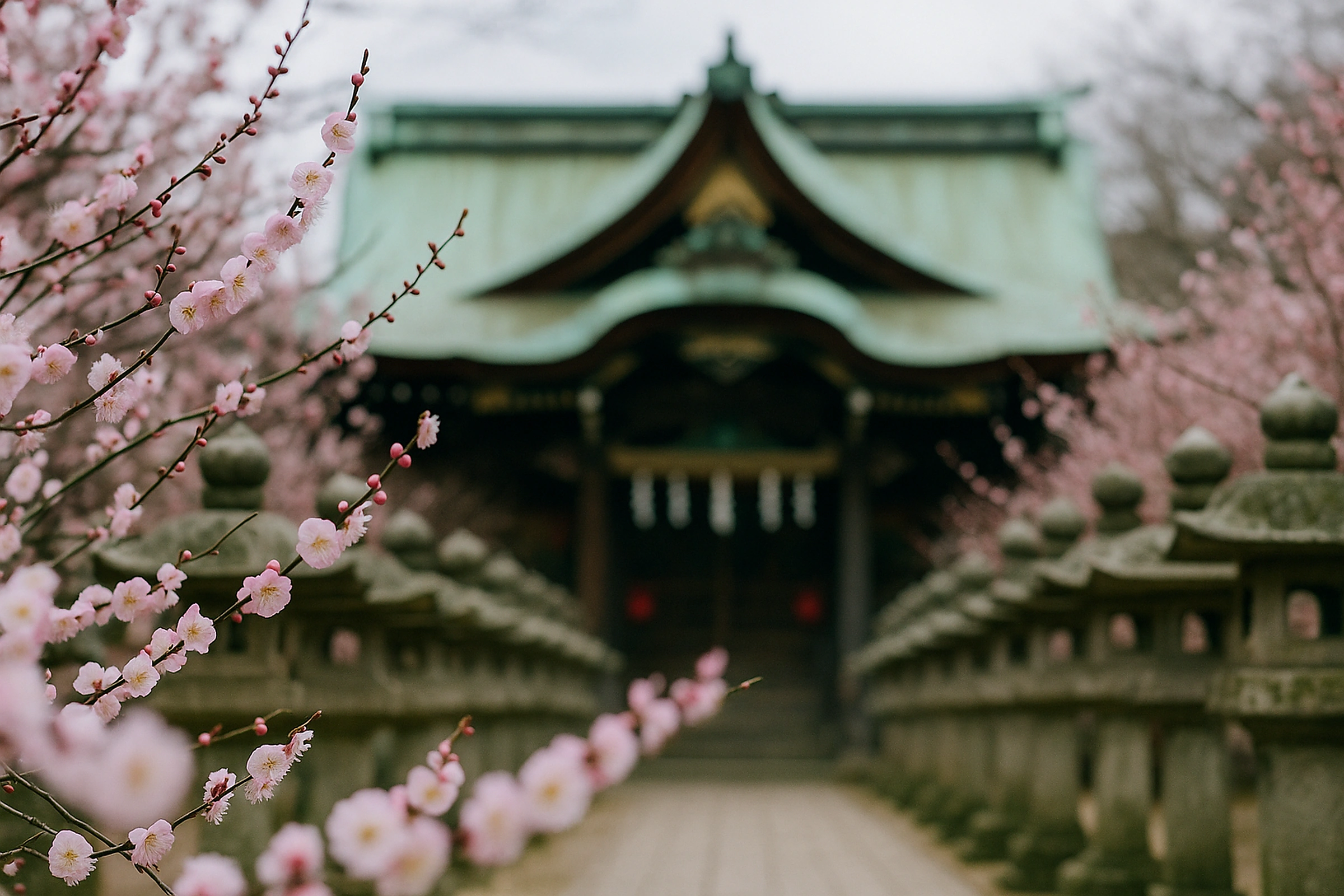 Plum blossoms at Yushima Tenjin