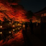 Autumn night light-up at a Japanese temple, with illuminated maple trees reflected in a pond and visitors walking along a lit garden path.