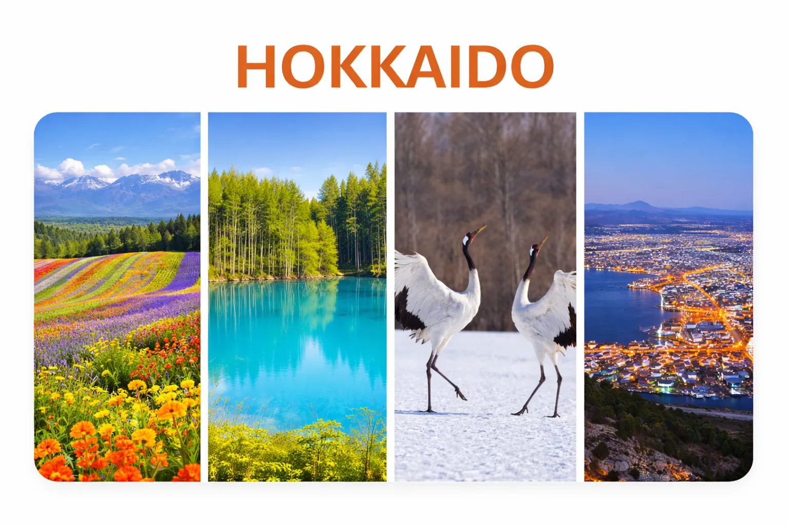 Hokkaido Region Guide – Updated with Spot Search